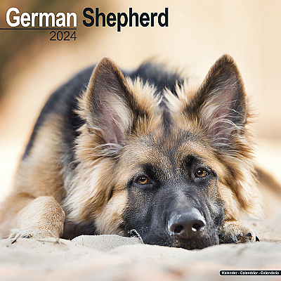 German Shepherd Calendar 2024 (Square)